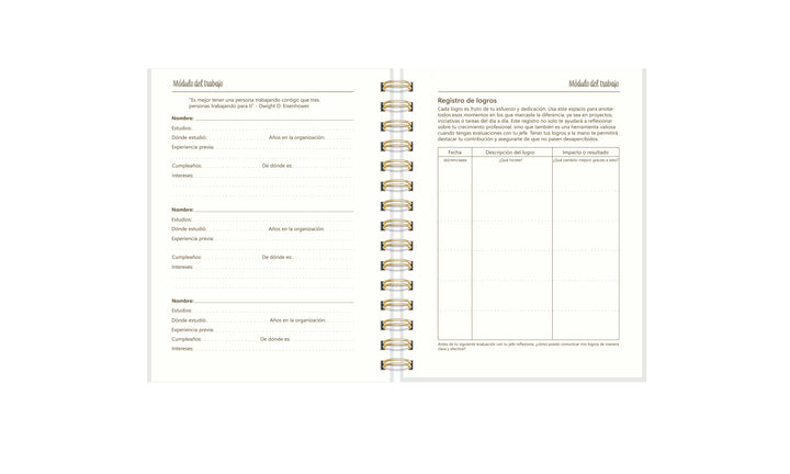 Planner de Trabajo Emerald Whisper