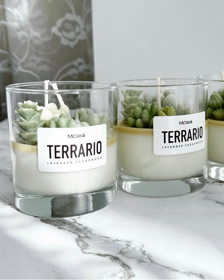 VELA TERRARIO