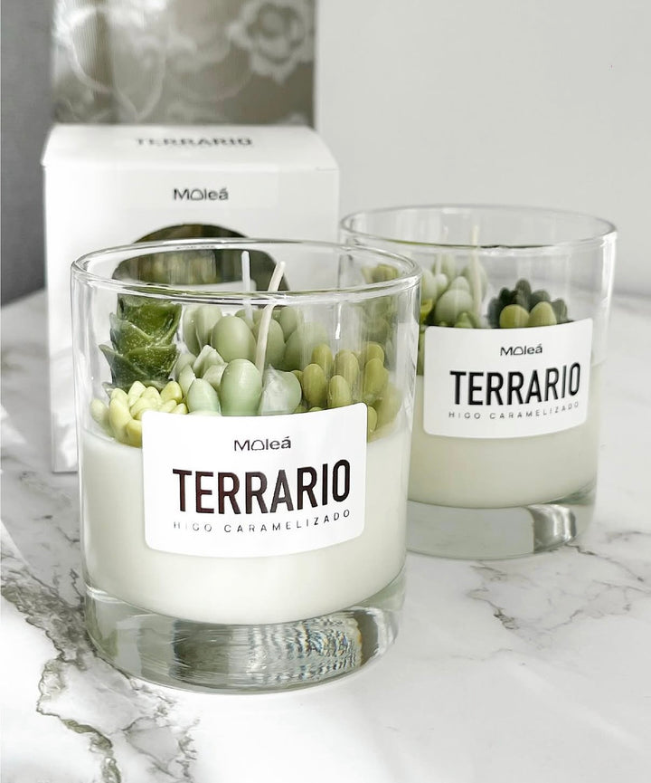 VELA TERRARIO