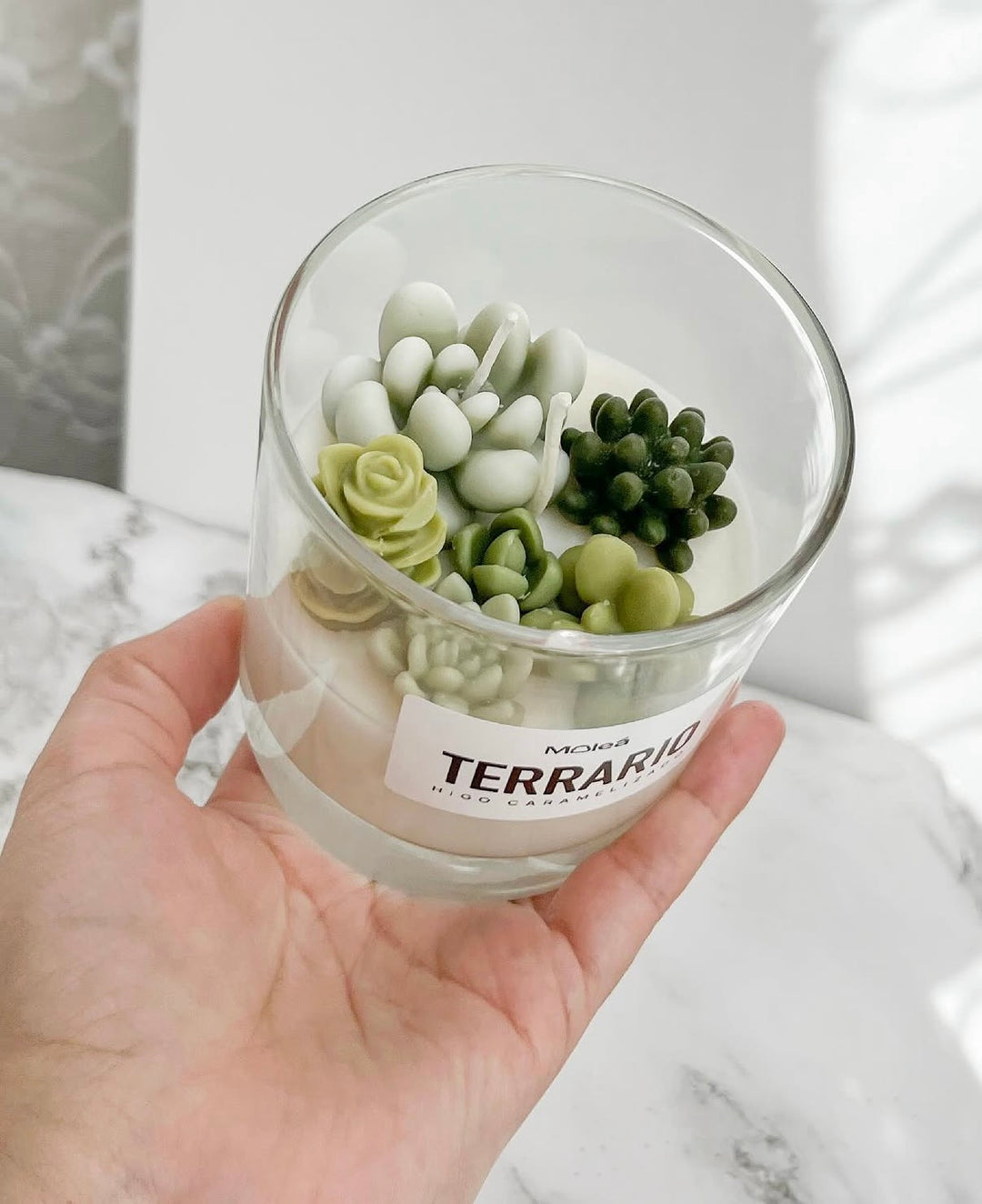 VELA TERRARIO
