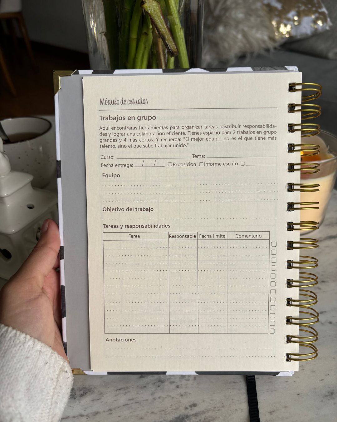 Planner de Estudios Emerald Whisper